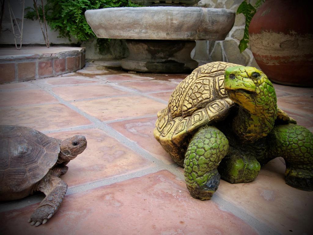 Casa Serena Vista Álamos エクステリア 写真