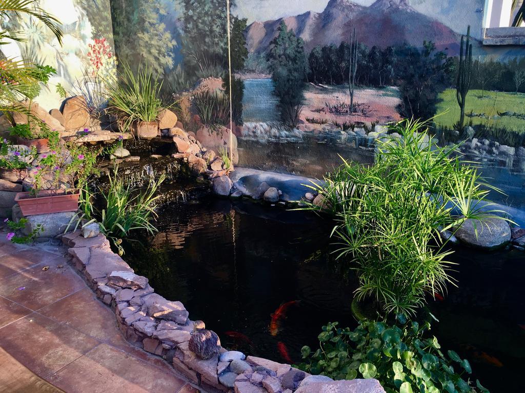 Casa Serena Vista Álamos エクステリア 写真